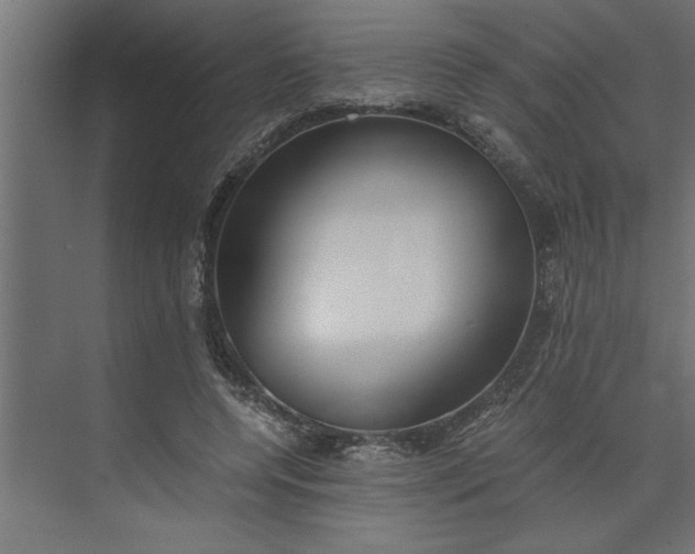 X0000073920544200608251552