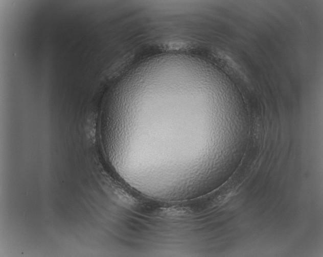 X0000073920545200608251552