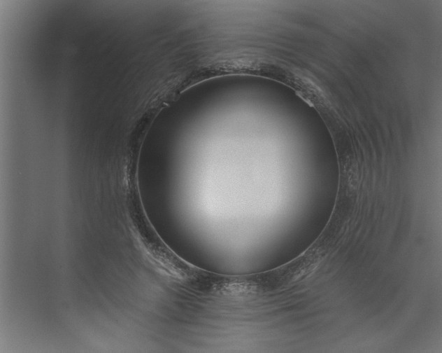 X0000073920546200608251552