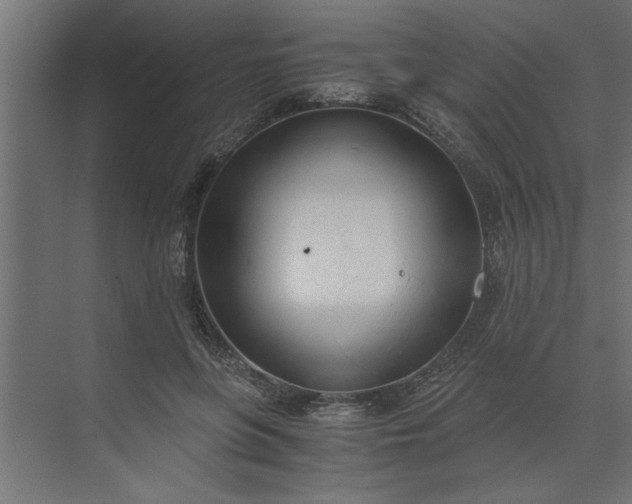 X0000073920551200608251552