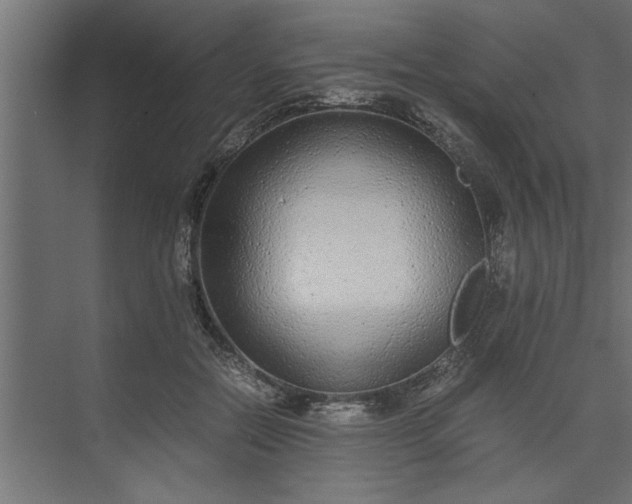 X0000073920554200608251552