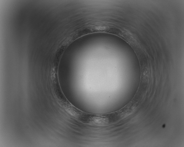 X0000073920555200608251552