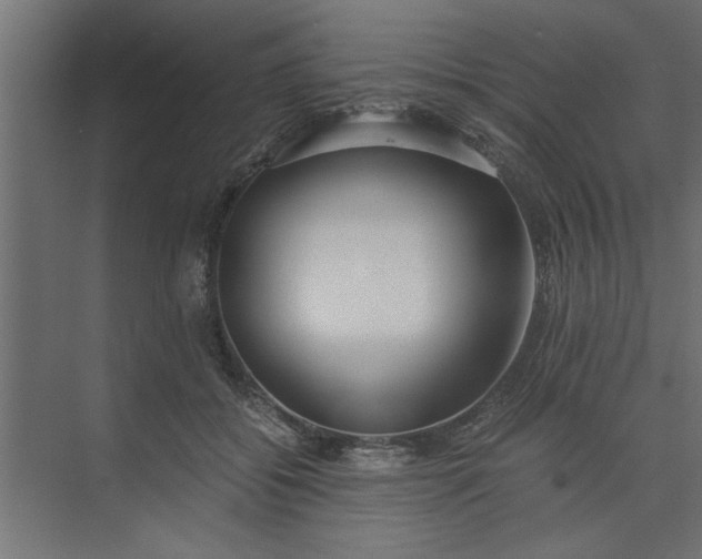 X0000073920556200608251552