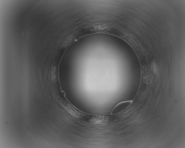 X0000073920563200608251552