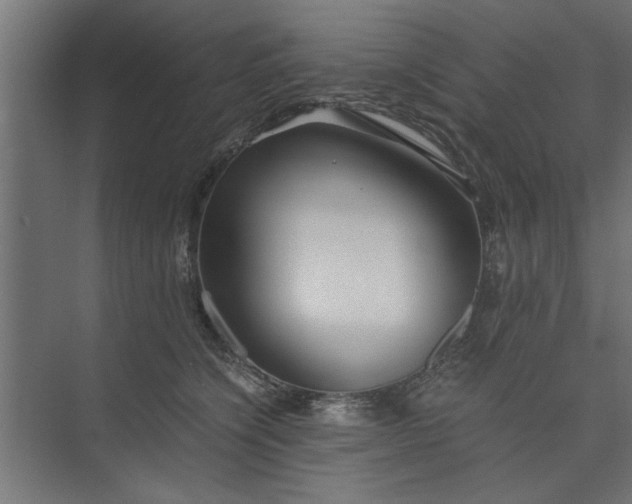 X0000073920564200608251552