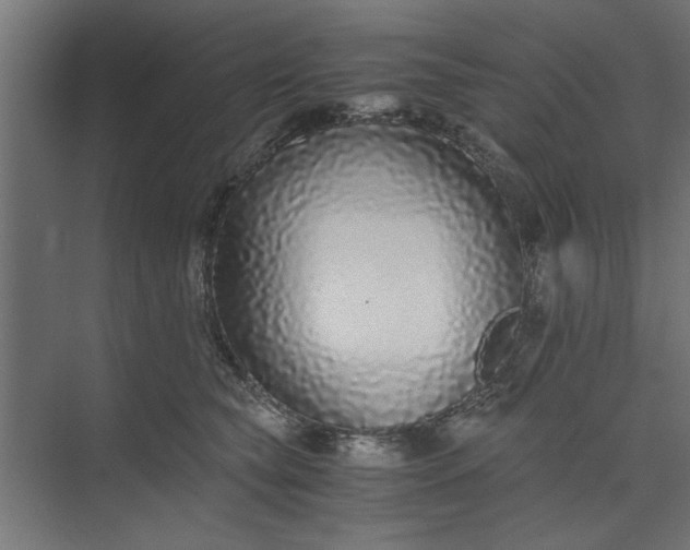 X0000073920565200608251552