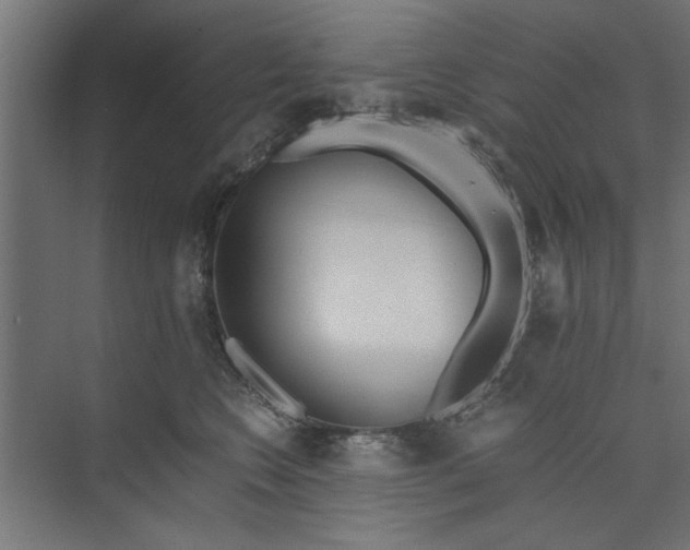 X0000073920566200608251552