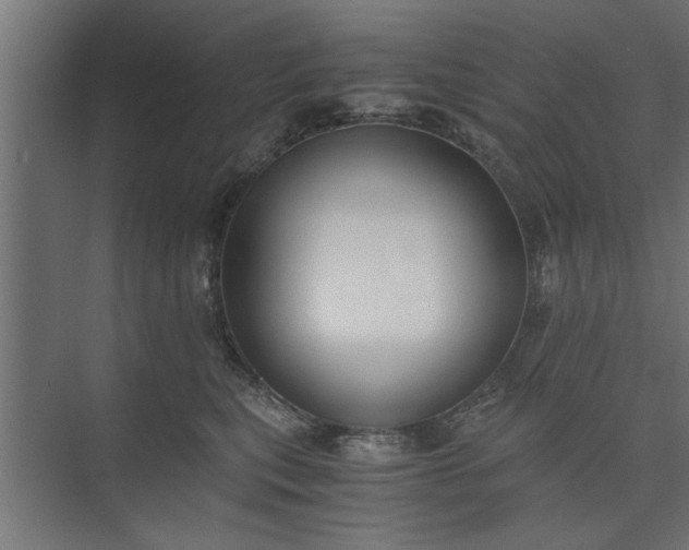 X0000073920567200608251552