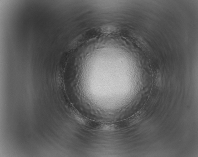 X0000073920569200608251552