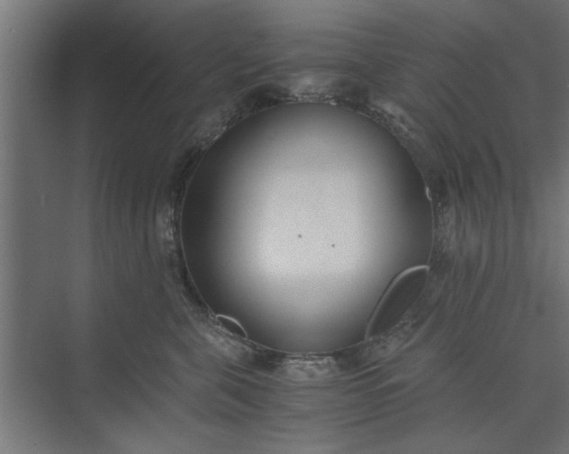 X0000073920571200608251552