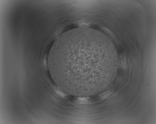 X0000073920573200608251552