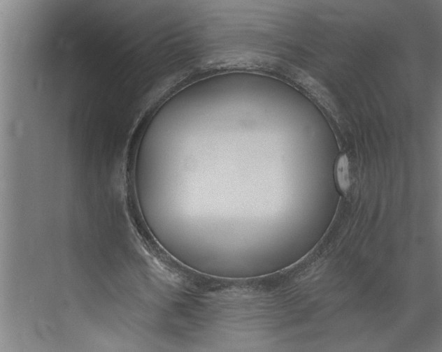 X0000073920578200608251552