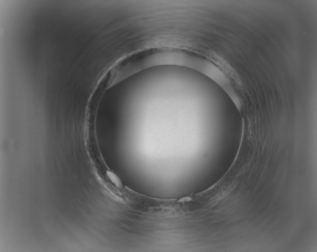 X0000073920580200608251551