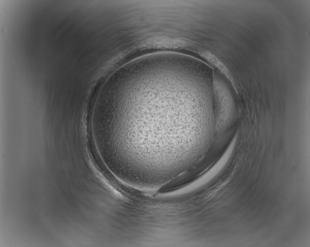 X0000073920581200608251551