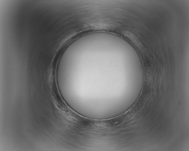 X0000073920583200608251551