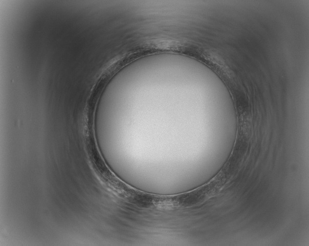 X0000073920587200608251551