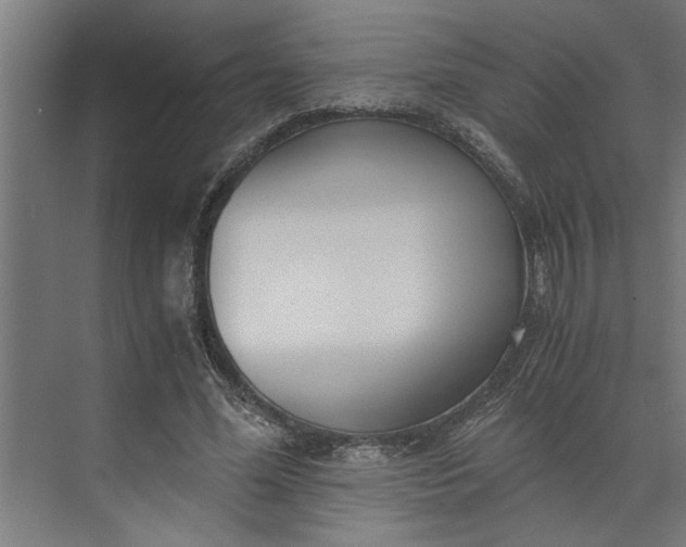 X0000073920588200608251551