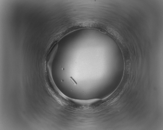 X0000073920589200608251551