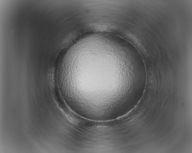 X0000073920590200608251551