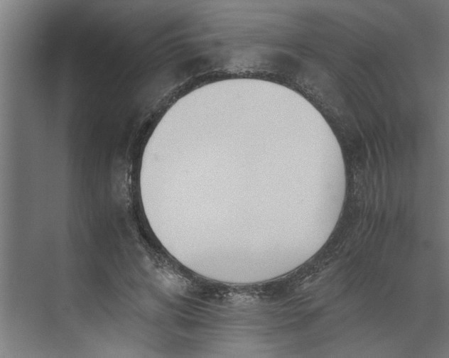 X0000073920592200608251551