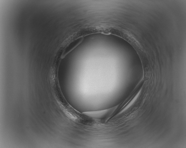 X0000073920593200608251551