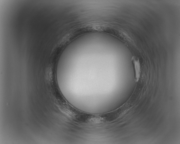 X0000073920595200608251551