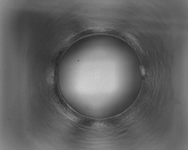 X0000073920596200608251551