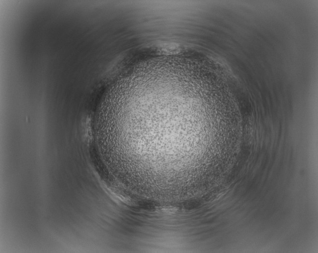 X0000073920598200608251551