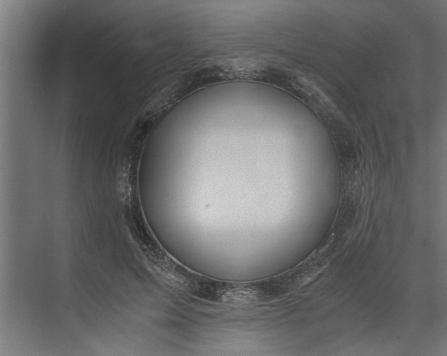 X0000073920599200608251551