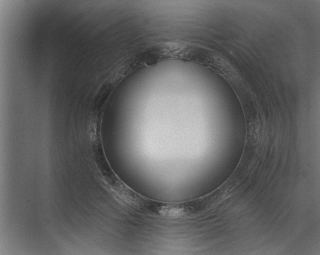 X0000073920602200608251551