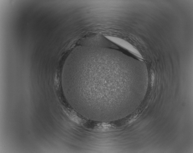 X0000073920607200608251551