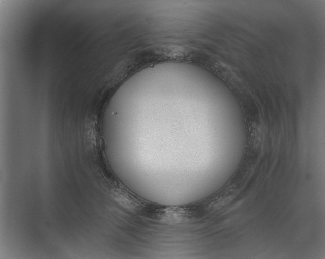 X0000073920612200608251551