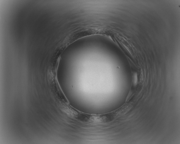 X0000073920613200608251551