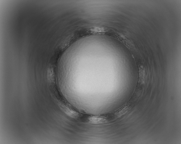 X0000073920614200608251551