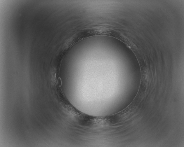 X0000073920615200608251551