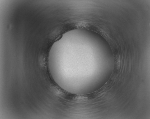 X0000073920619200608251551