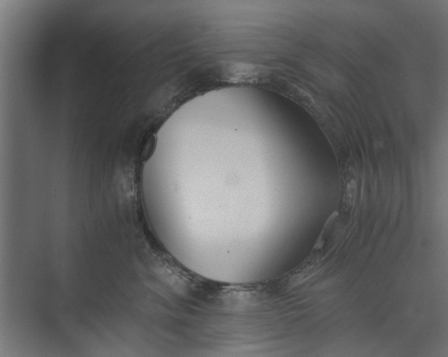 X0000073920620200608251551