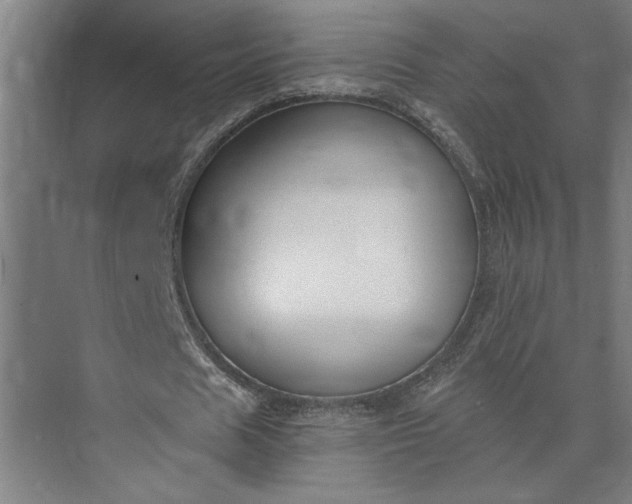 X0000073920625200608251550