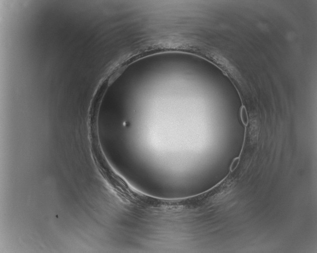 X0000073920626200608251550