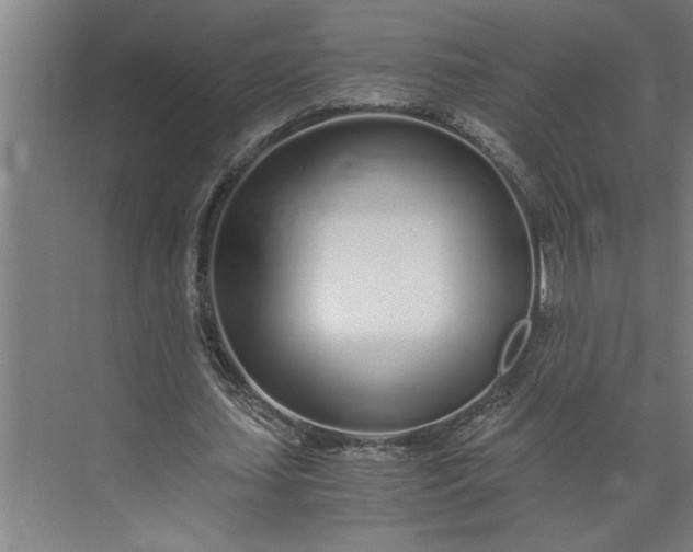 X0000073920627200608251550