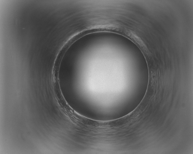 X0000073920628200608251550