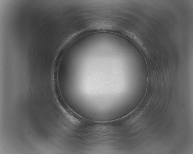 X0000073920629200608251550