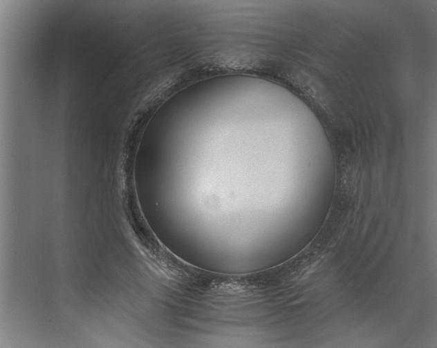 X0000073920635200608251550