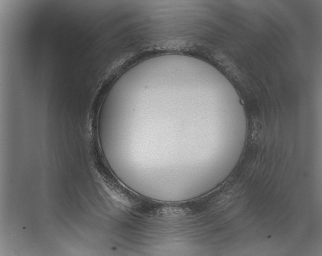 X0000073920636200608251550