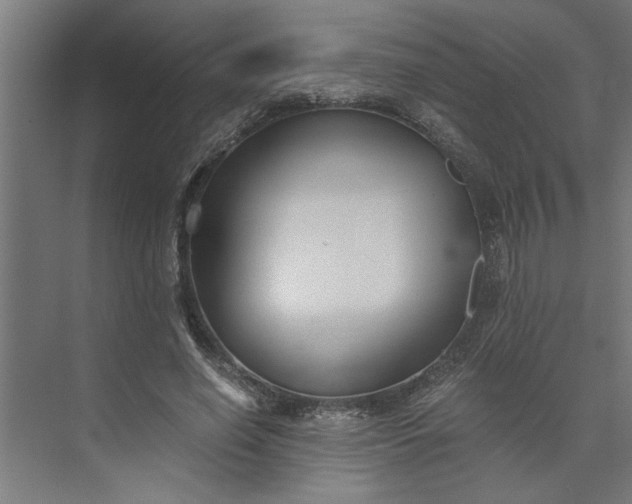 X0000073920638200608251550