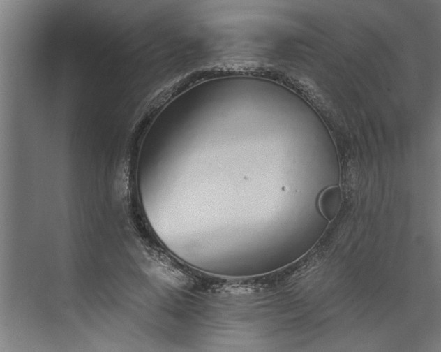 X0000073920640200608251550