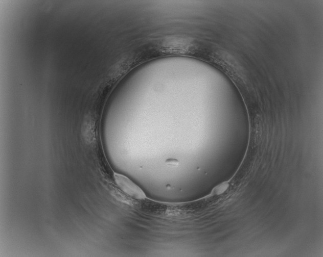 X0000073920641200608251550