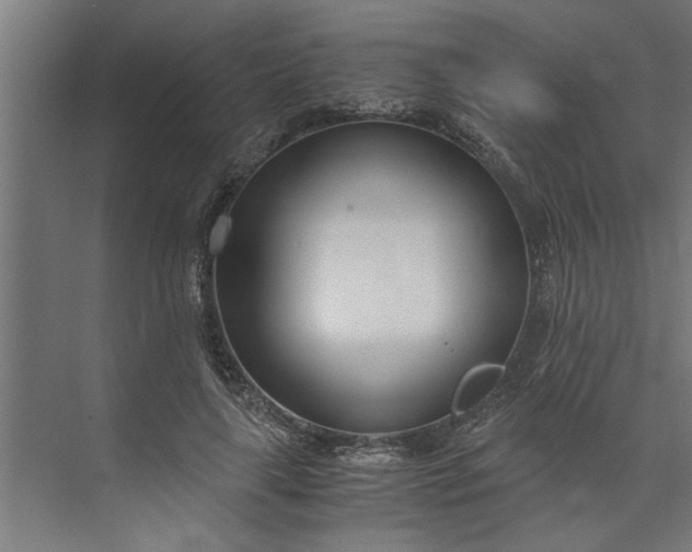 X0000073920643200608251550