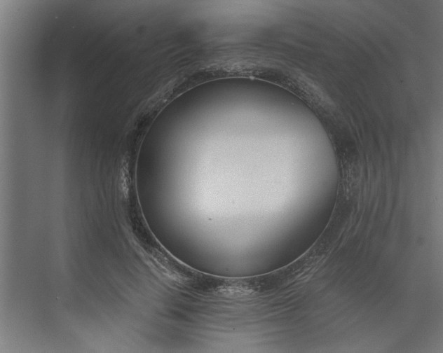 X0000073920644200608251550