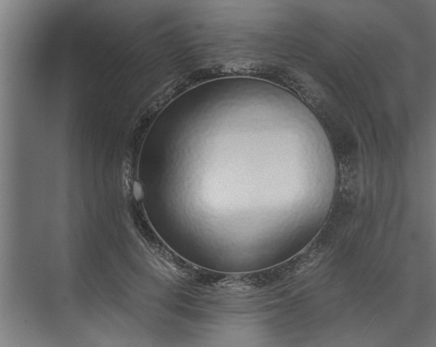 X0000073920648200608251550